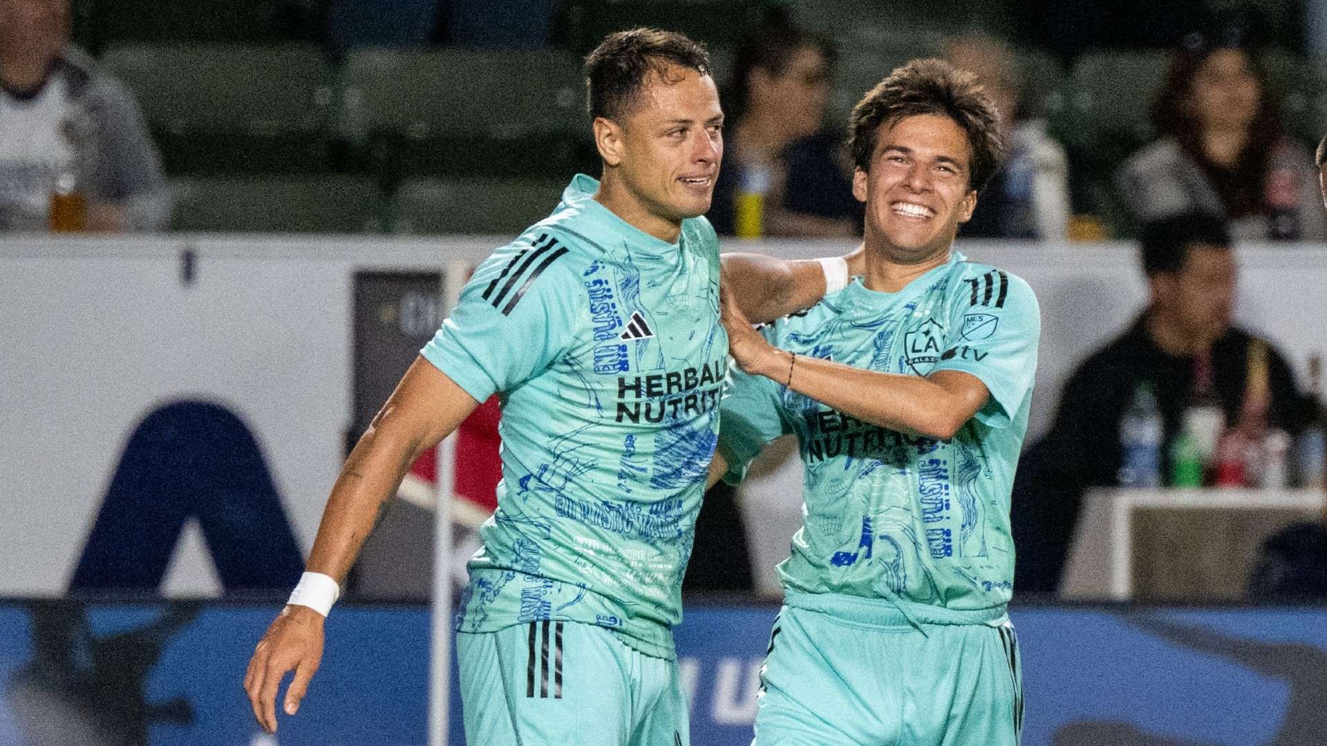 在那届世界 在那届世界