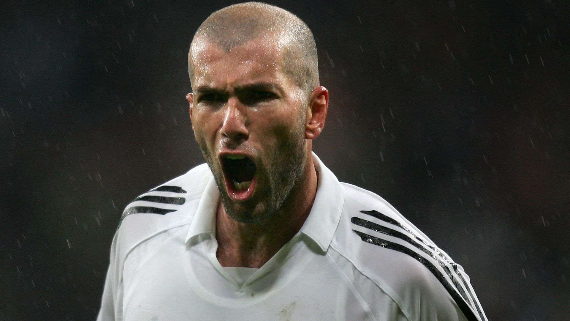 他在这里迅 他在这里迅