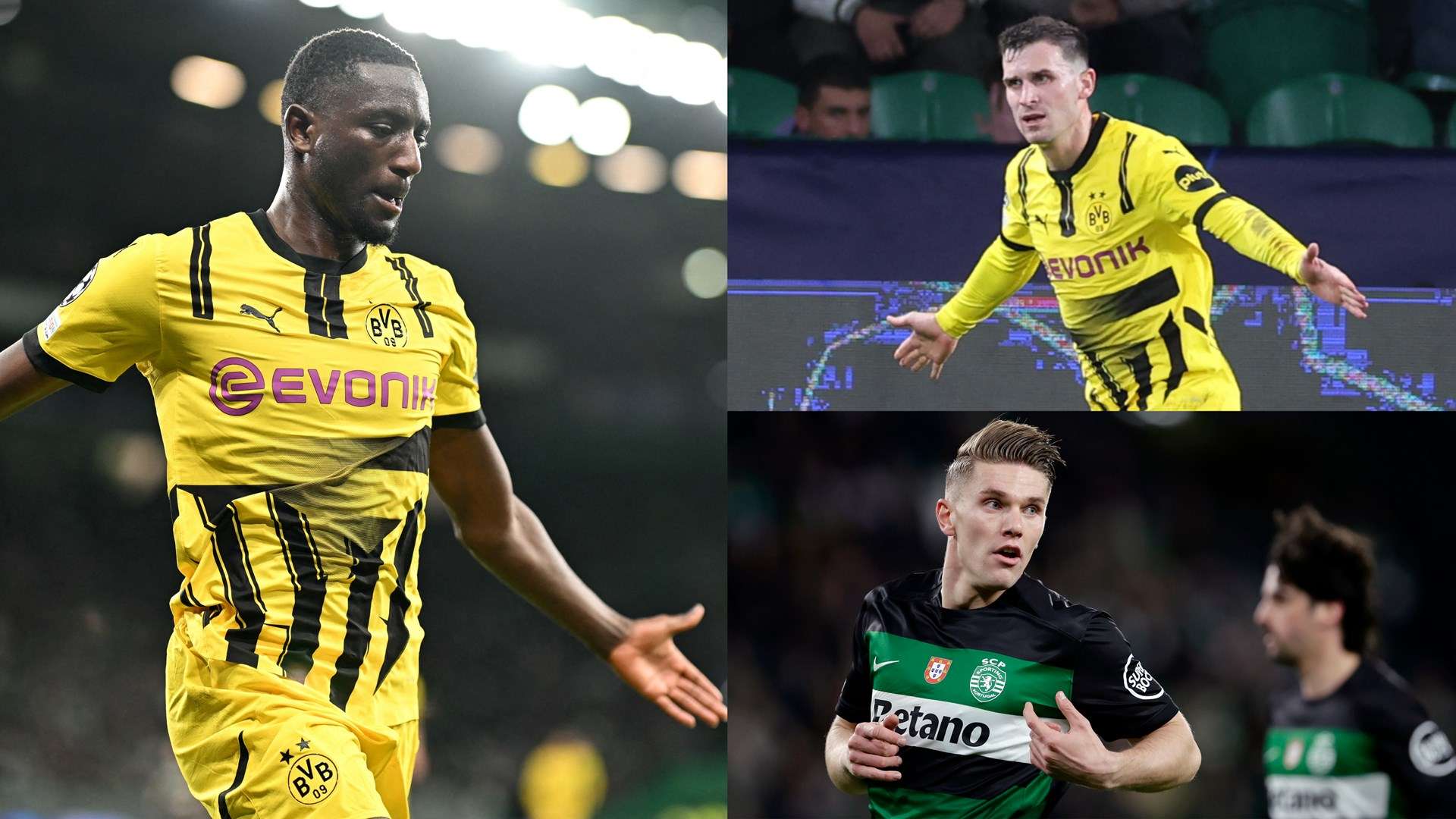 布鲁诺的关 布鲁诺的关