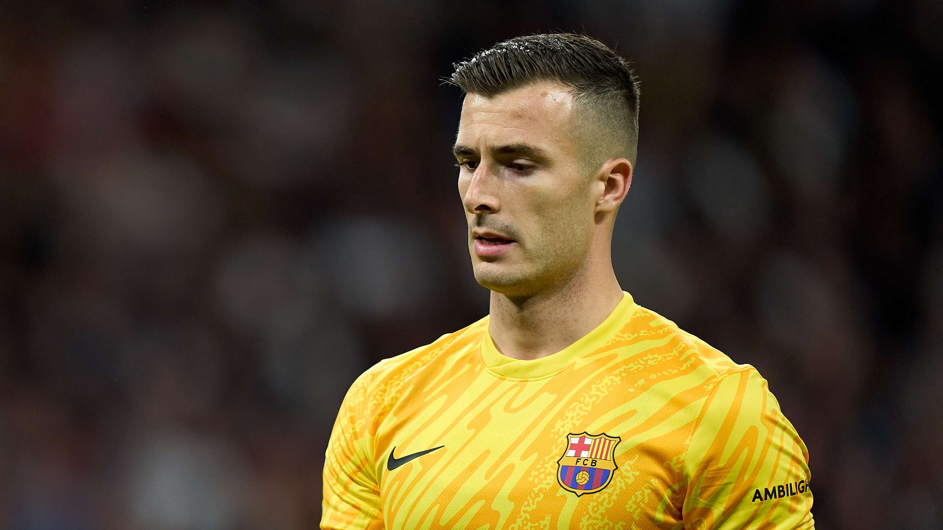 他挺身而出 他挺身而出