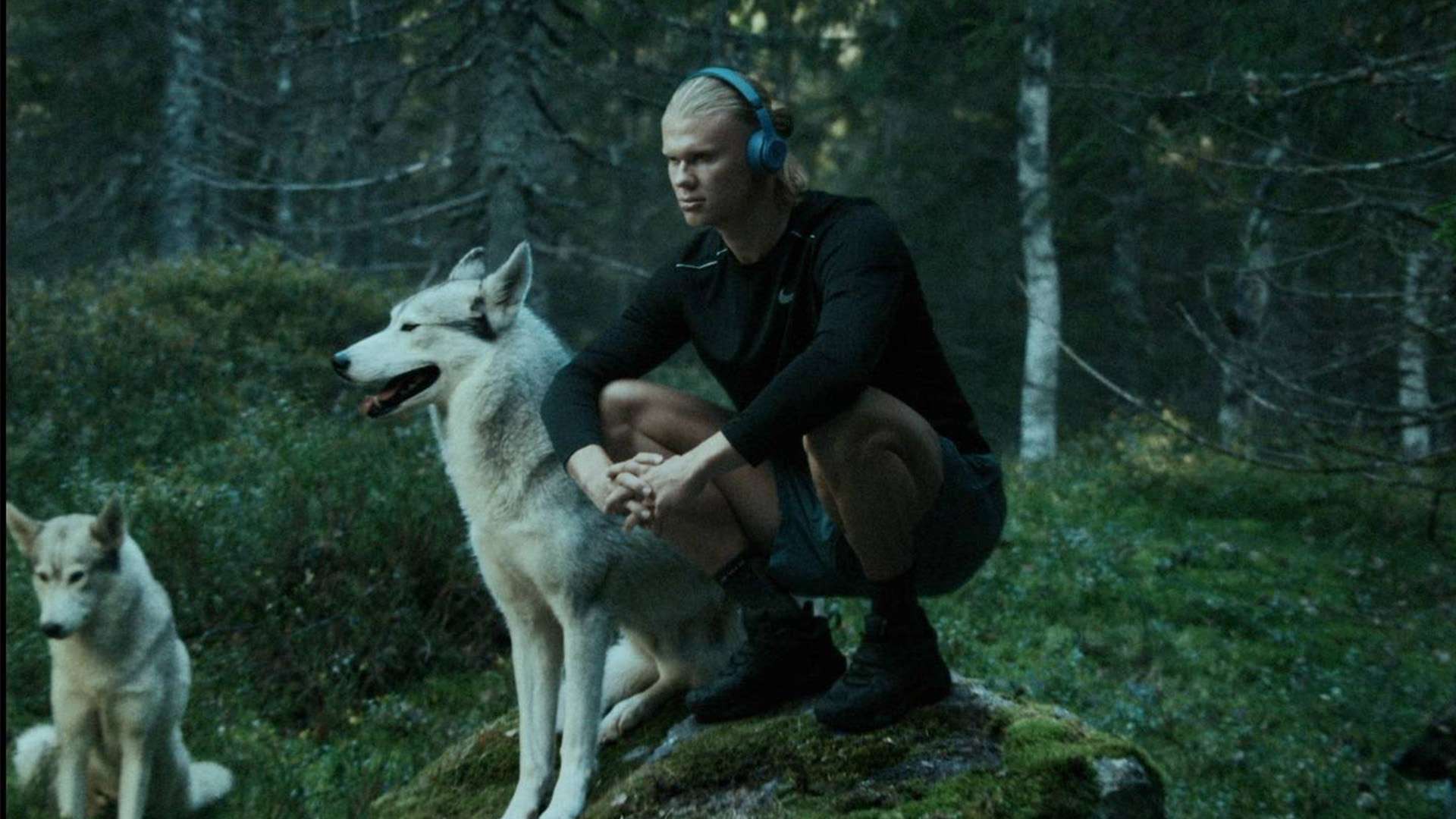 馬德里看中 馬德里看中